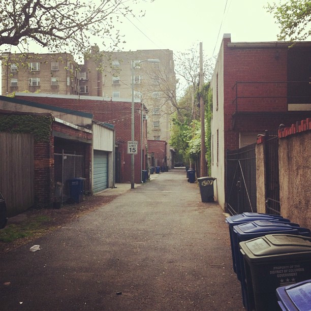     A back alley in Washington DC. Trash cans line the sides, and a 15mph speed 
    limit is clearly posted.
