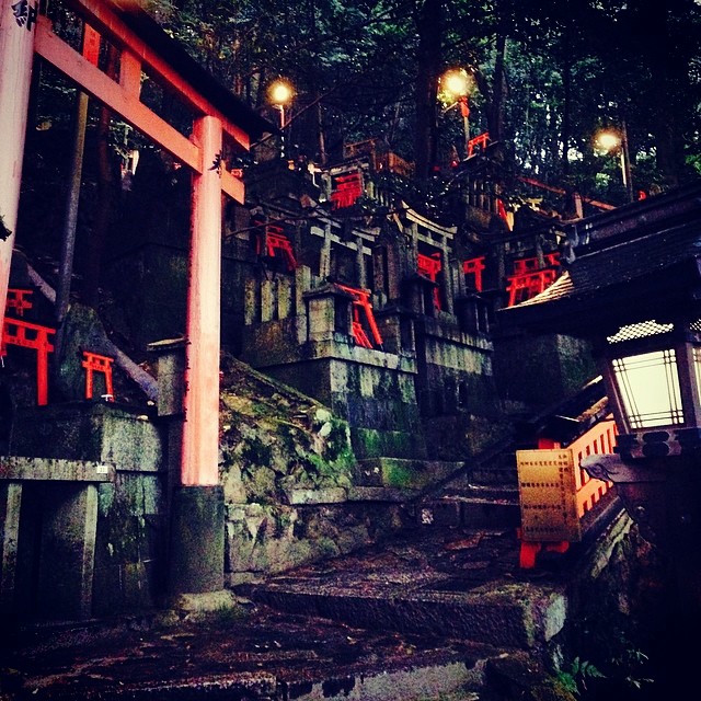 A dark wooded area, with quite a few Japanese torii gates littering the hills.