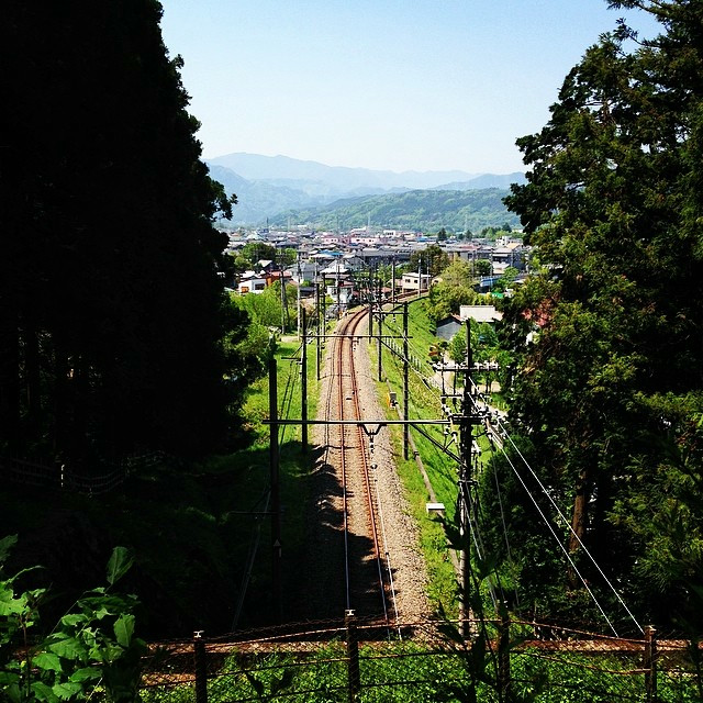 A line of train tracks splits the image, with the view looking out from the woods over a town.