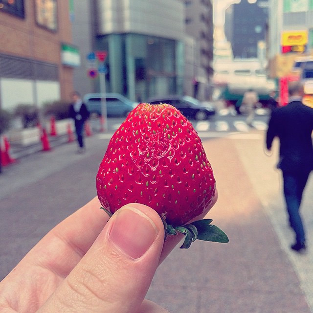 A bright red strawberry, with a blurred city background.