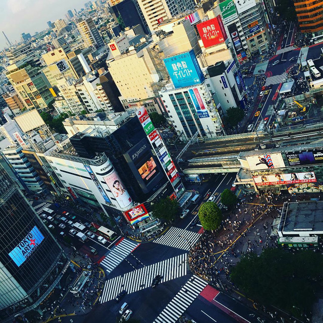 The famous Shibuya crossing from on high. Traffic is moving through.