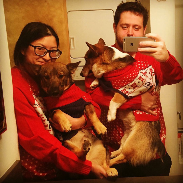 A man and a woman hold two dogs. They are all wearing identical red holiday sweaters.