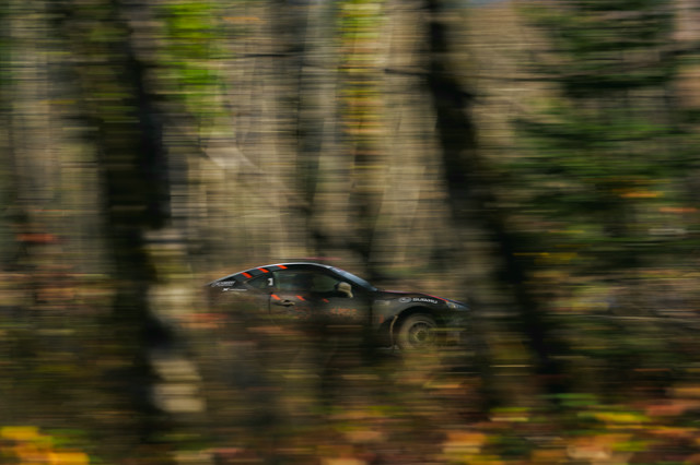 Glimpses of a black car with orange highlights shooting through a wooded area.