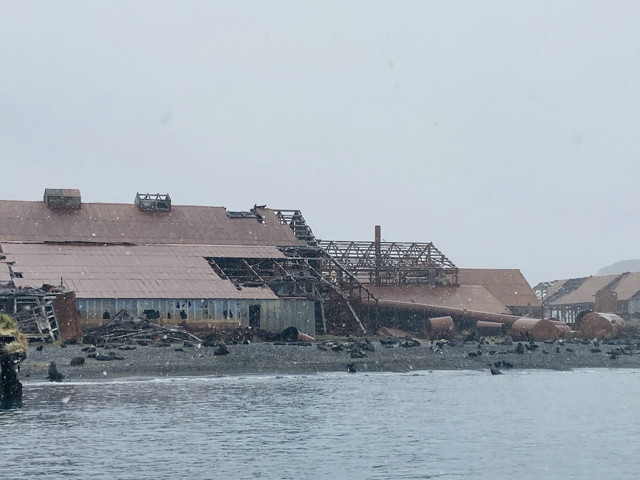 A rusting derelict whaling station on South Georgia. Debris litters a beach, and fur seals have reclaimed the land and are lounging about. It is snowing.