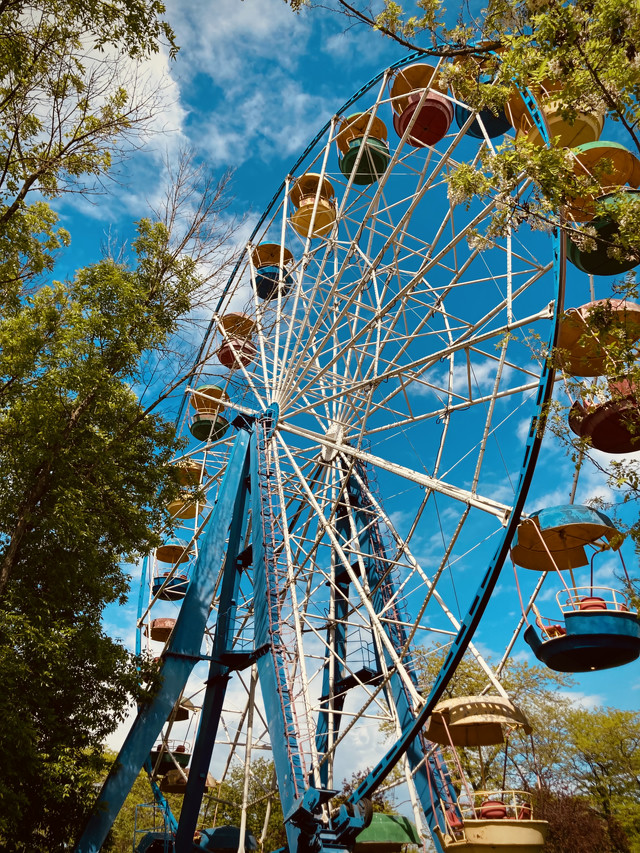 A colorful but rusting ferris wheel sits among some trees. The sky is blue.