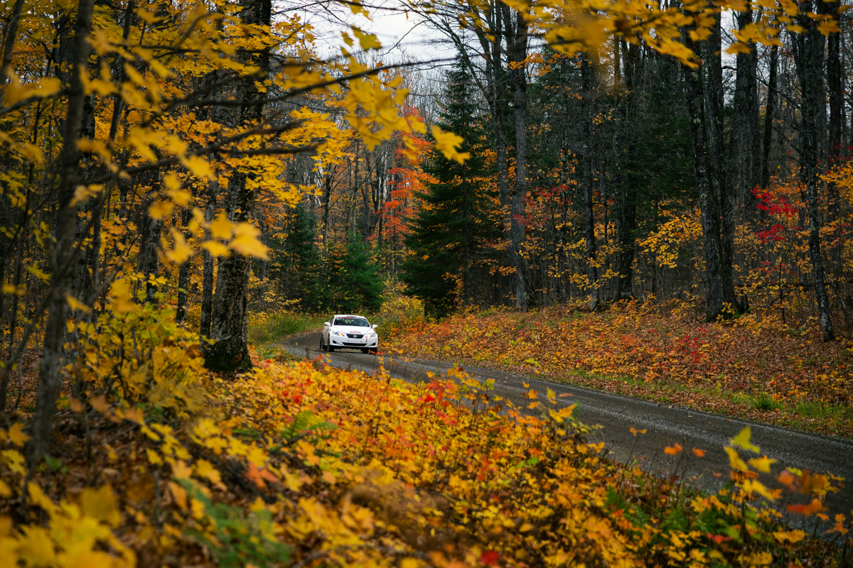 A white Lexus IS250 racing down a forest road. The leaves and trees are in full color change mode, a sea of orange and yellow. The road is gravel and slightly damp.