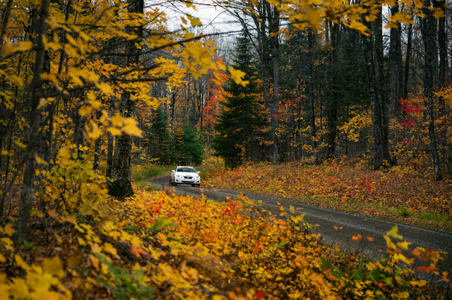 A white Lexus IS250 racing down a forest road. The leaves and trees are in full color change mode, a sea of orange and yellow. The road is gravel and slightly damp.
