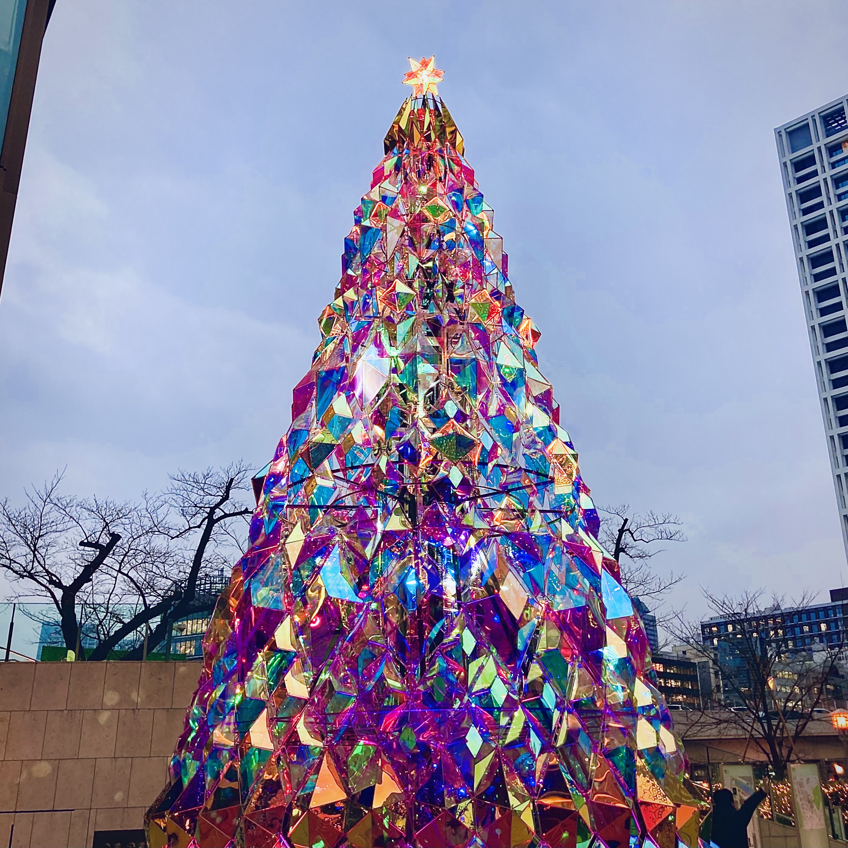 A geodesic Christmas tree made of glass shards. It’s a rainbow of colors, like looking at a kaleidoscope.