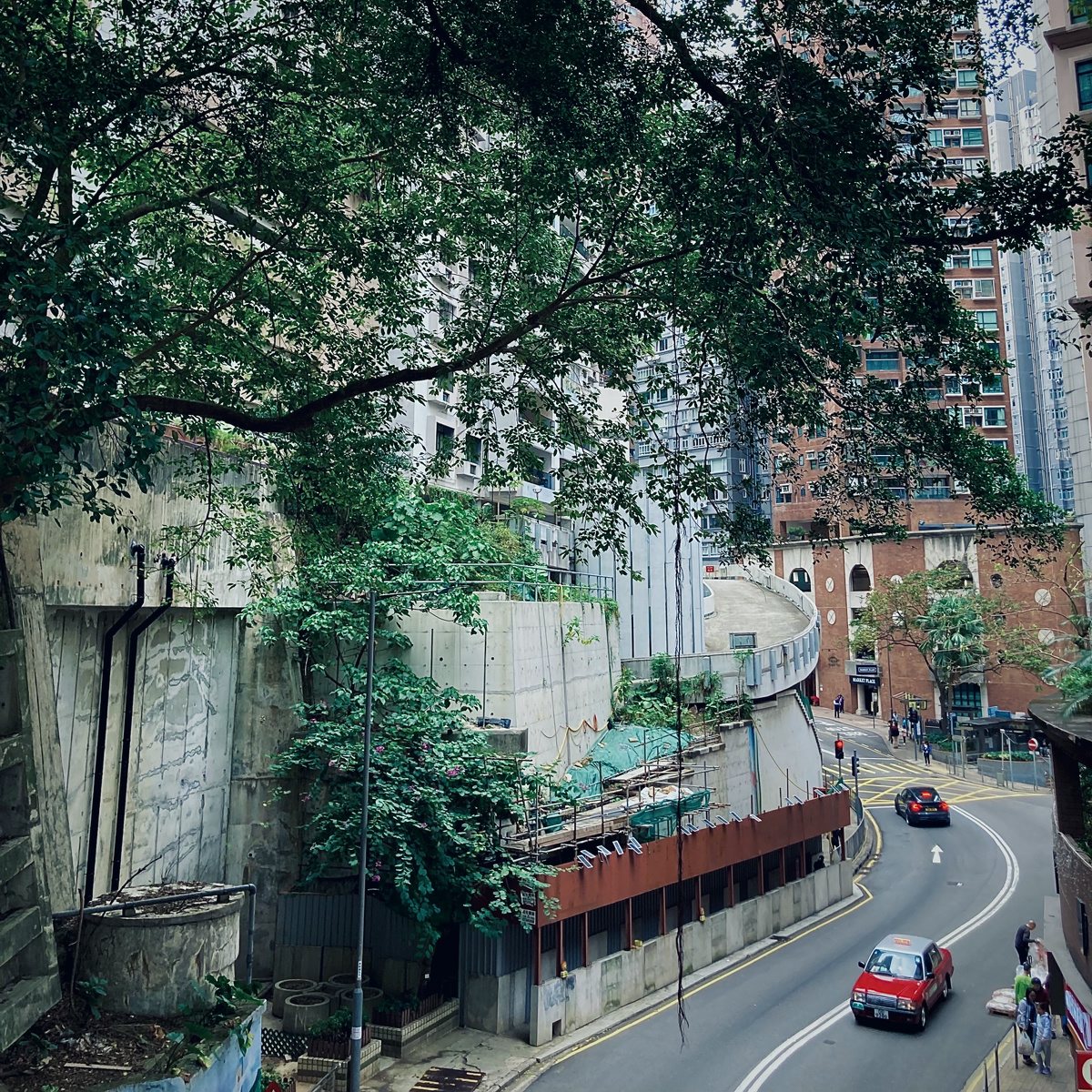 A windy road in SoHo, Hong Kong. A red cab can be seen driving. A massive green tree lines the road.
