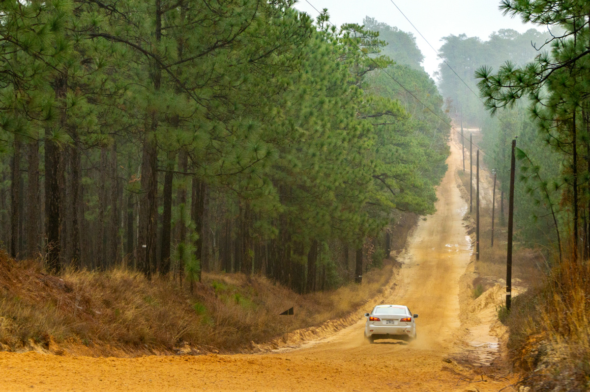 A white Lexus IS250 races off into the distance on a sand and tree lined road. Power poles can be seen lining the right side of the road.
