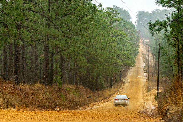 A white Lexus IS250 races off into the distance on a sand and tree lined road. Power poles can be seen lining the right side of the road.