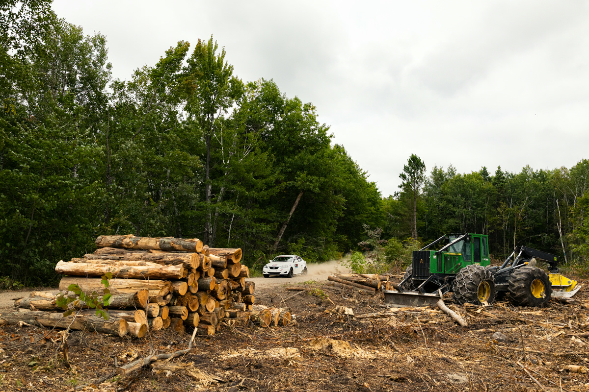 A white Lexus IS250 races through a logging road. Equipment and logs can be seen at the side of the road.